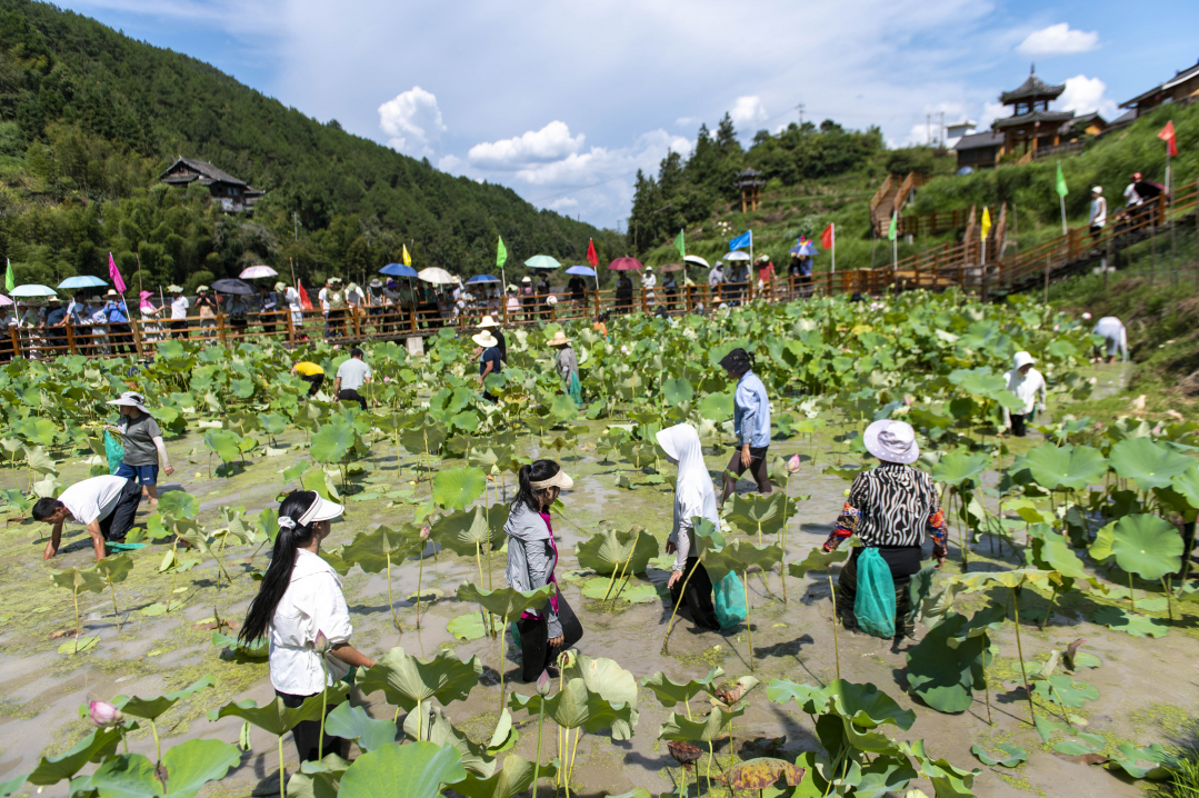 2024年8月27日，在贵州省从江县洛香镇荣新村四联侗寨，游客和村民在参与摸鱼活动。_DSC8570.jpg